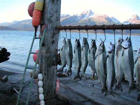 alaska fishing jobs|Seafood industry jobs .